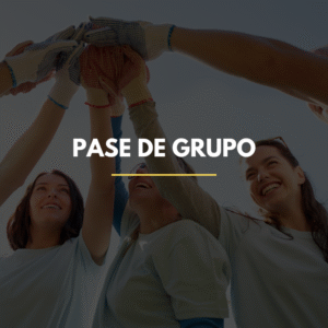5 PERSONAS
