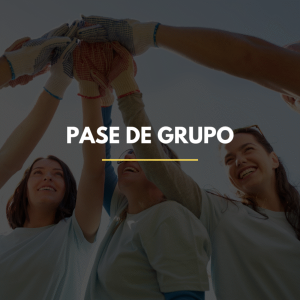 5 PERSONAS